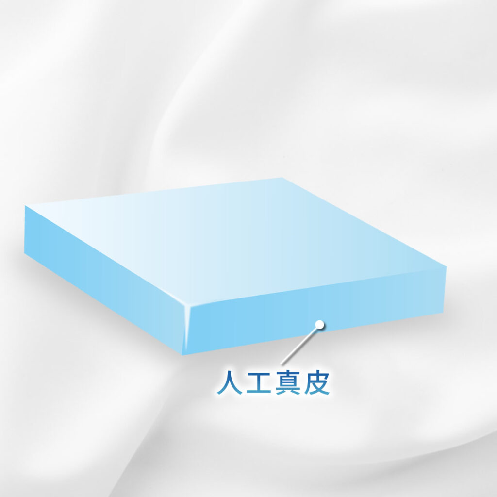 人工真皮のイラスト_1