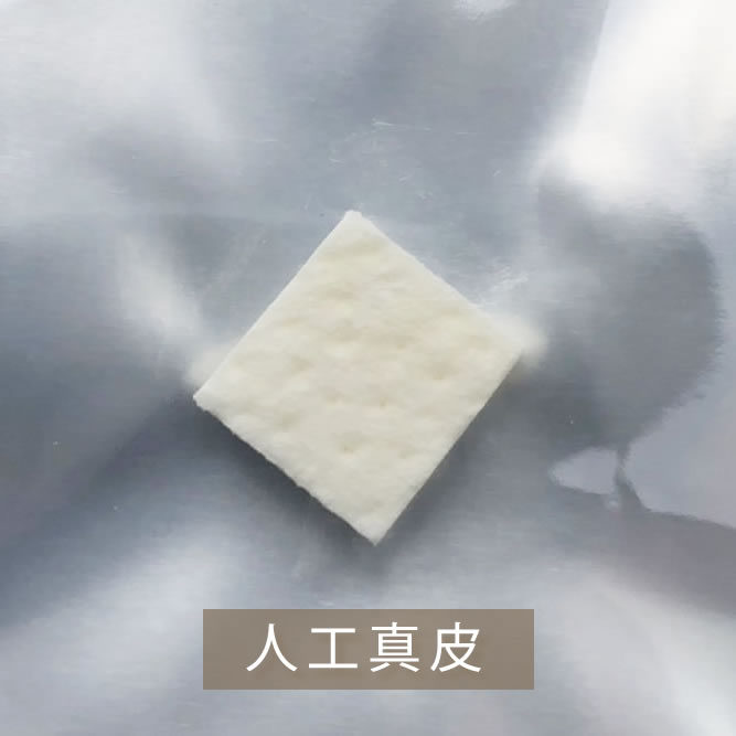 人工真皮の写真