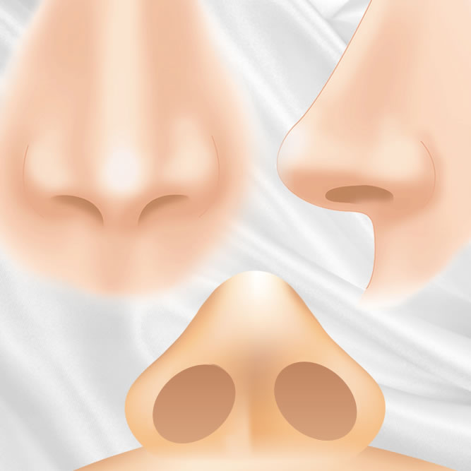 鼻の美容整形のイメージ